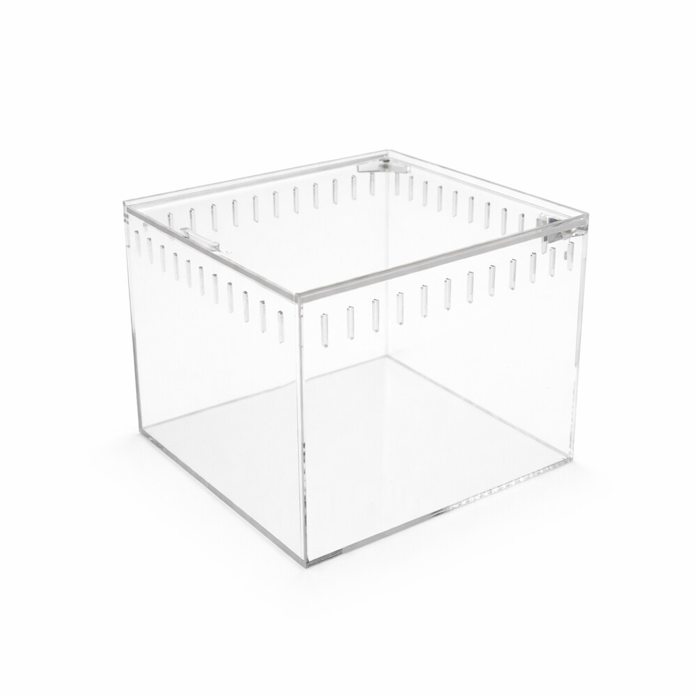 Happet Terrarium Akrylowe dla Pająka 13x11x12cm